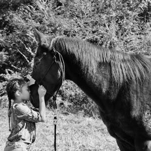 Meet your Posher, Klover